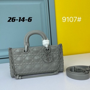 DIOR Handbags 500